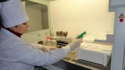 Отделом ветеринарно-санитарной экспертизы с начала текущего года выявлено 126 несоответствий