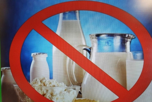 Результаты мониторинга молочных продуктов, приобретенных в магазине «Светофор»
