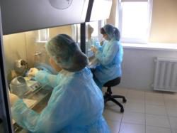 В саратовской лаборатории обнаружили геном возбудителя парвовирусной инфекции свиней