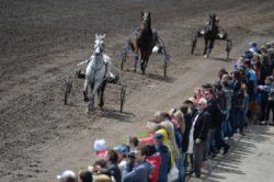 Об участии сотрудников ФГБУ «Саратовская МВЛ» и Управления Россельхознадзора по Саратовской области в открытии юбилейного 160-го бегового сезона на Саратовском ипподроме