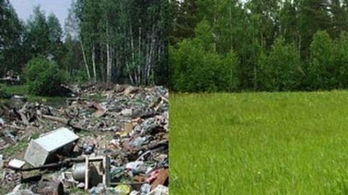 Саратовская МВЛ оформляет проекты рекультивации земель сельскохозяйственного назначения