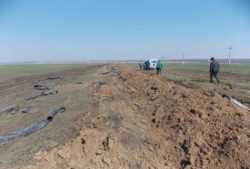 Проведена почвоведческая экспертиза