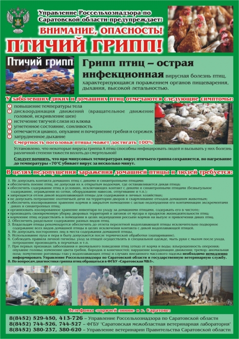 Внимание! Памятка по гриппу птиц для руководителей птицеводческих предприятий и владельцев личных подсобных хозяйств