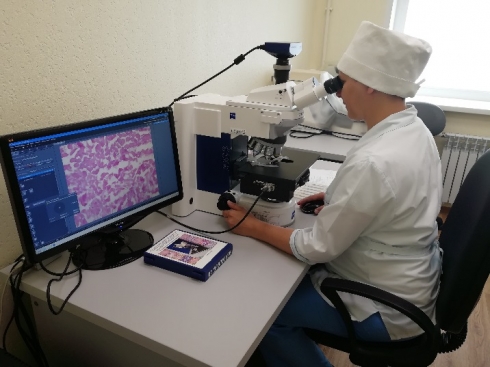 Гистологическое исследование с диагностической целью возможно провести в Саратовской межобластной ветеринарной лаборатории