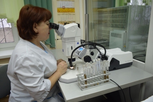 Выявлены карантинные объекты