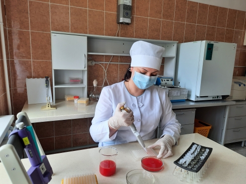Саратовская МВЛ: Выявлен недопустимый уровень поствакцинальных антител к вирусу ньюкаслской болезни