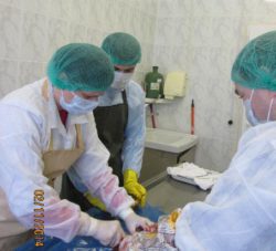 Работа отдела патоморфологии и приема материала с начала года