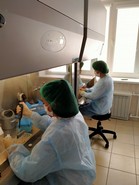В ФГБУ «Саратовская МВЛ» поступило 38 проб материала на фитопатогены