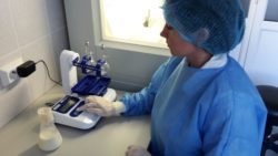 В саратовскую лабораторию поступили пробы молока на соматические клетки