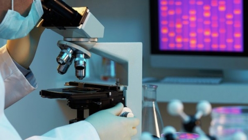 ФГБУ «Саратовская МВЛ»: Вирус африканской чумы свиней не обнаружен