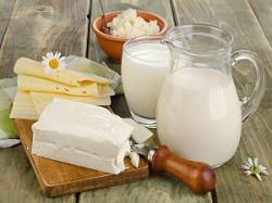 Фальсификация молока и молочных продуктов