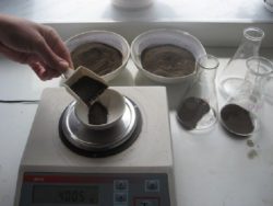 В «Саратовской МВЛ» готовы на современном оборудовании определить состав травяной муки