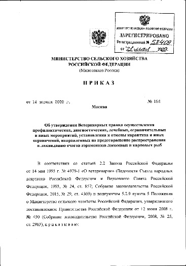 Утверждены новые ветеринарные правила
