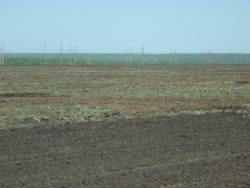 Проведена почвоведческая экспертиза по факту  размещения отходов работы птицефабрики