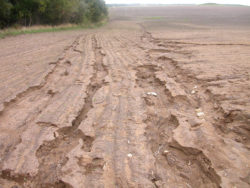 Способы борьбы с водной эрозией