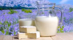 Потенциально опасные вещества в пищевой продукции не обнаружены
