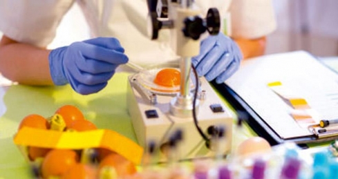 Саратовская МВЛ: Качества яиц определяющий фактор инкубации.