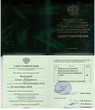 Специалисты в области карантина растений ФГБУ «Саратовская МВЛ» прошли повышение квалификации на базе ФГБУ «ВНИИКР» 