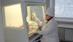 Сульфитредуцирующие клостридии не обнаружены