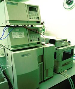 В ФГБУ «Саратовская МВЛ» проводятся исследования пищевой продукции на соответствие требованиям 