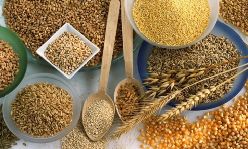 Саратовская  лаборатория выявила несоответствие круп требованиям ГОСТ