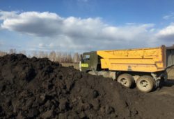 В Аркадакском райне выявлено снижение показателей плодородия на землях сельскохозяйственного назначения