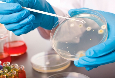 Саратовская МВЛ отчиталась о проделанной работе отдела ветеринарно-санитарной экспертизы