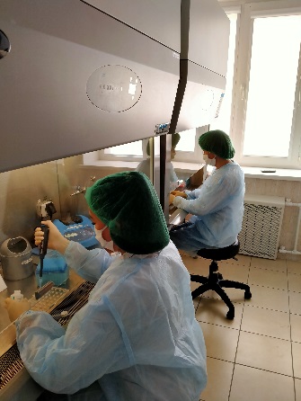 В саратовской лаборатории проведены исследования на инфекционные заболевания животных и птиц молекулярным методом 