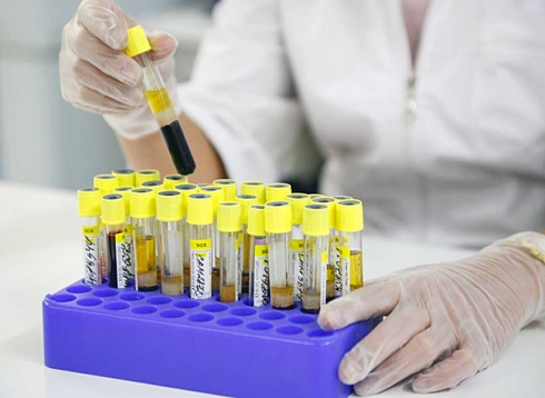 Специалисты отдела генодиагностики и ИФА успешно справились с заданиями МСИ