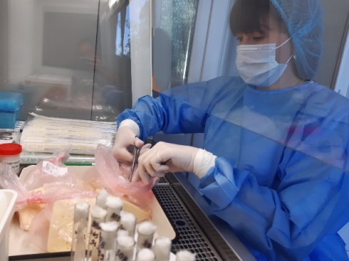 Пищевая продукция прошла проверку по микробиологическим показателям