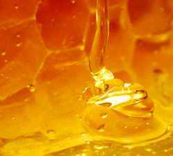 Саратовская МВЛ: Качество меда соответствует ГОСТу