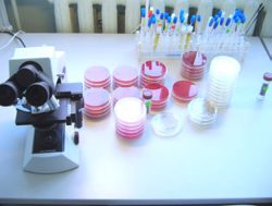 Подтверждена компетентность специалистов ФГБУ «Саратовская МВЛ»