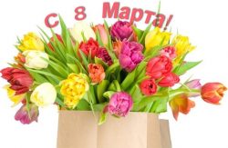 Дорогие коллеги, милые женщины!