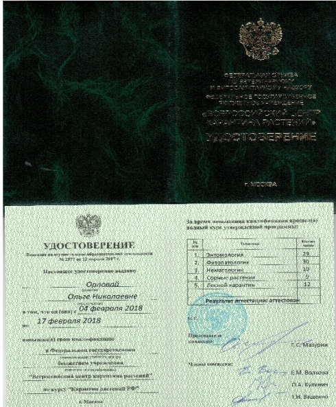 Специалисты отдела фитосанитарной экспертизы прошли курсы повышения квалификации на базе ФГБУ «ВНИИКР»