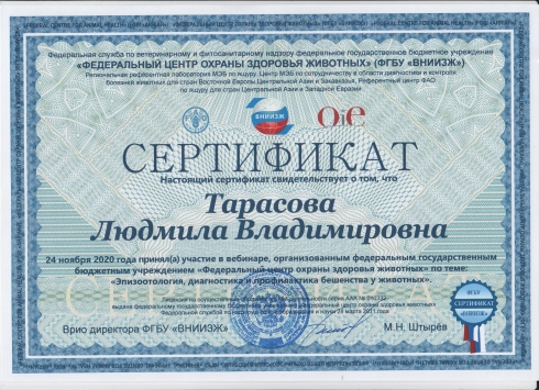 Участие в вебинаре в рамках «Всемирный день борьбы с бешенством»