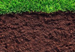 Исследование почвы