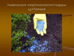 Мониторинг мест захоронения пестицидов в почве