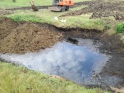 Загрязнение нефтепродуктами