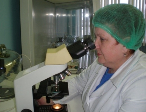 Саратовской ветлабораторией обнаружен варроатоз у пчел