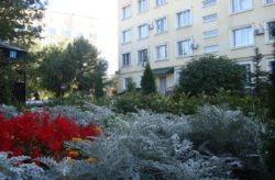 Производственная деятельность ФГБУ «Саратовская МВЛ» за 5,5 месяцев 2017 года