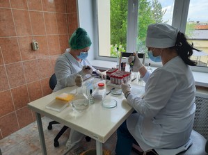 Специалистами отдела вирусологии и гематологии Саратовской МВЛ проведено 606 исследований, получен 81 положительный результат