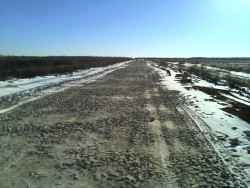 Лабораторно установлено снижение показателей плодородия на землях сельскохозяйственного назначения