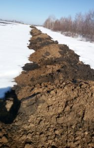 Саратовской лабораторией проведена почвоведческая экспертиза