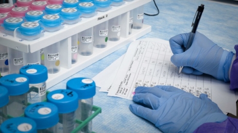 Об исполнении ФГБУ «Саратовская МВЛ» субсидируемых государственных заданий