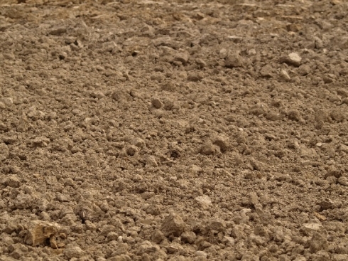 При паразитологическом исследовании почвы получен отрицательный результат