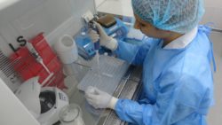 В саратовскую лабораторию с начала года поступило 58 проб для исследований на содержание ГМО