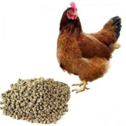 Выявлена токсичность комбикормов!