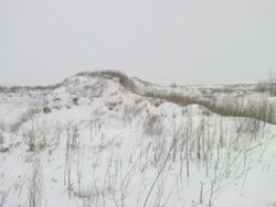 Лабораторно подтверждено снижение показателей плодородия на землях сельскохозназначения в Красноармейском районе