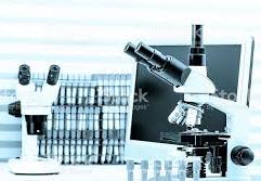 Работа отдела вирусологии и гематологии за 10 месяцев 2017 года