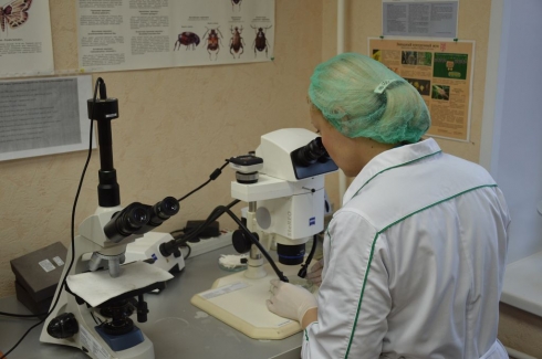 Отдел фитосанитарной экспертизы приглашает участников внешней экономической деятельности для сотрудничества в 2021 году